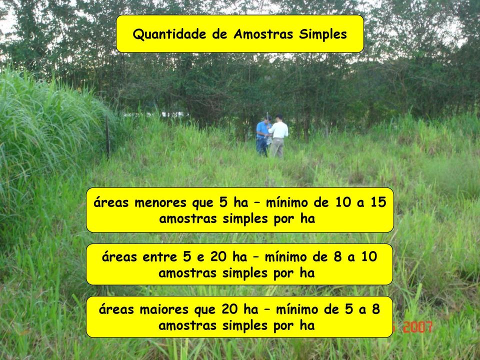 e 20 ha mínimo de 8 a 10 amostras simples por ha áreas