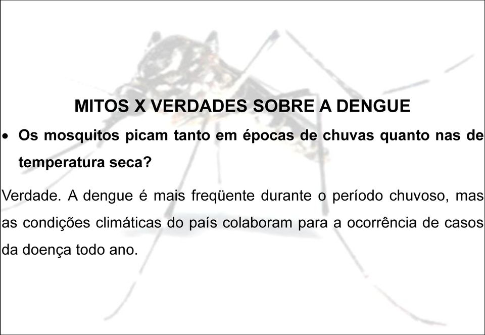 A dengue é mais freqüente durante o período chuvoso, mas