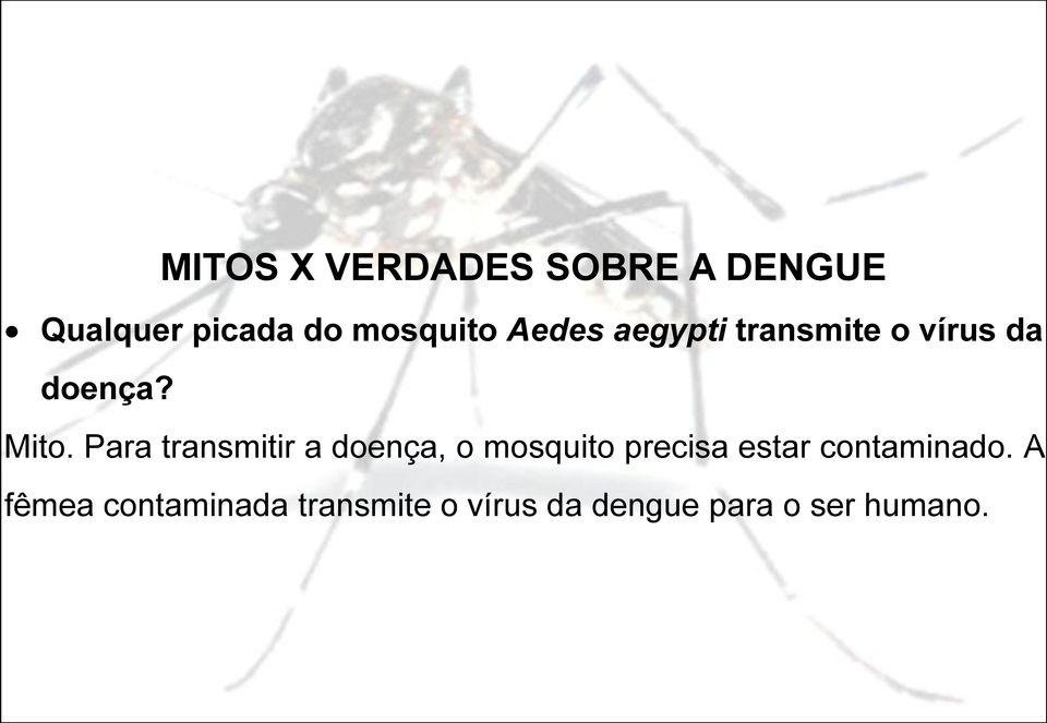 Para transmitir a doença, o mosquito precisa estar