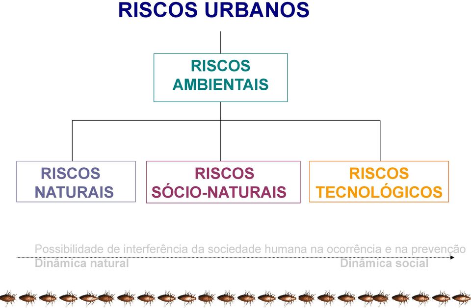 Possibilidade de interferência da sociedade humana