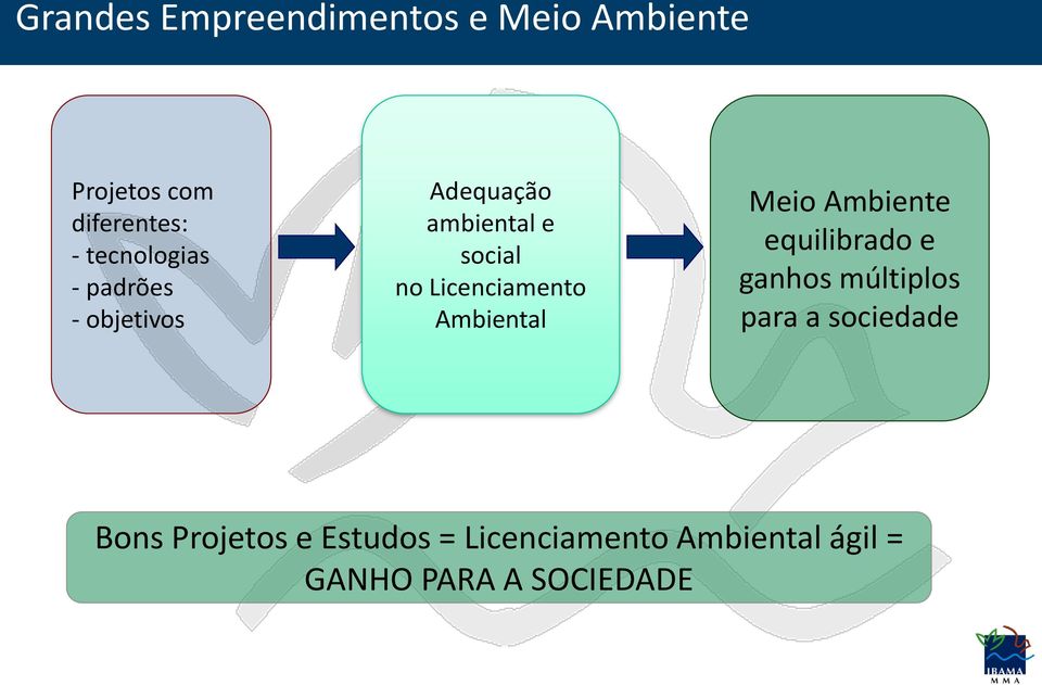 Licenciamento Ambiental Meio Ambiente equilibrado e ganhos múltiplos para a