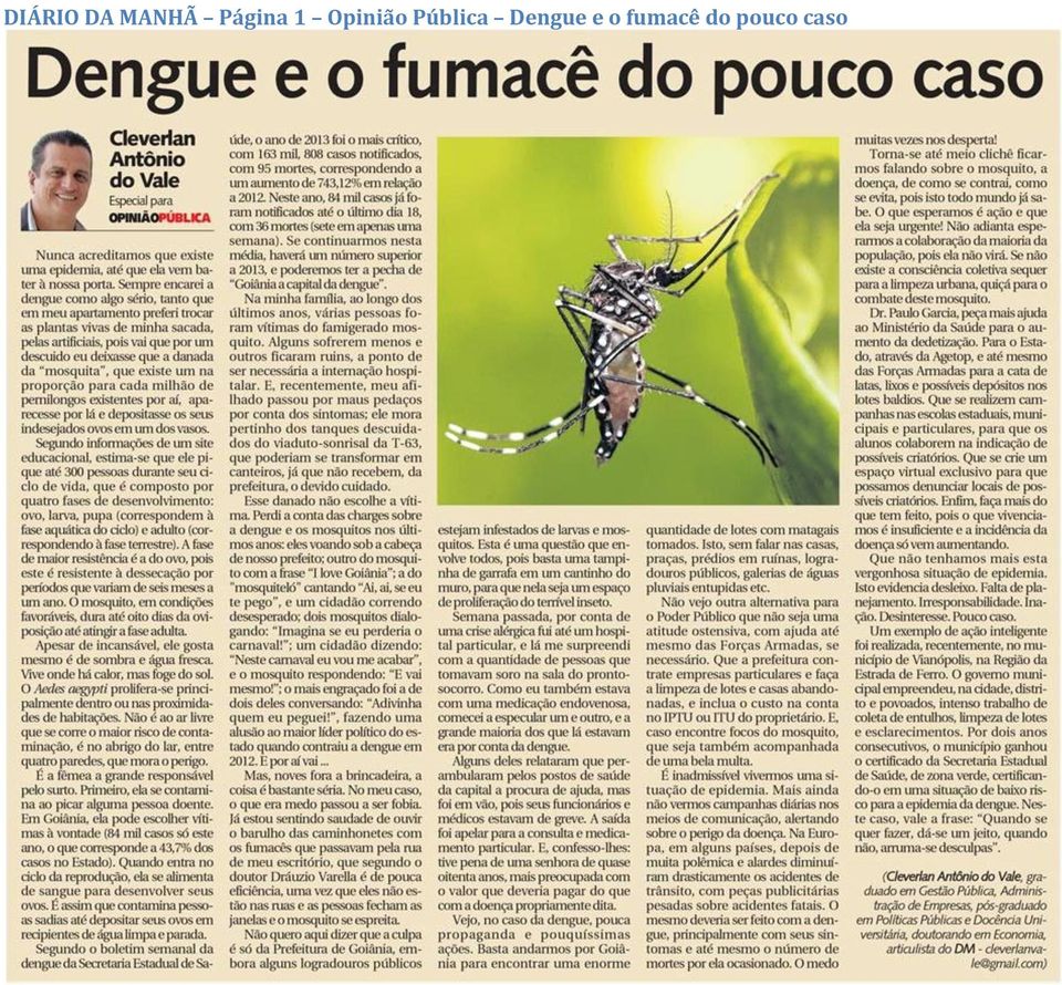 Pública Dengue e