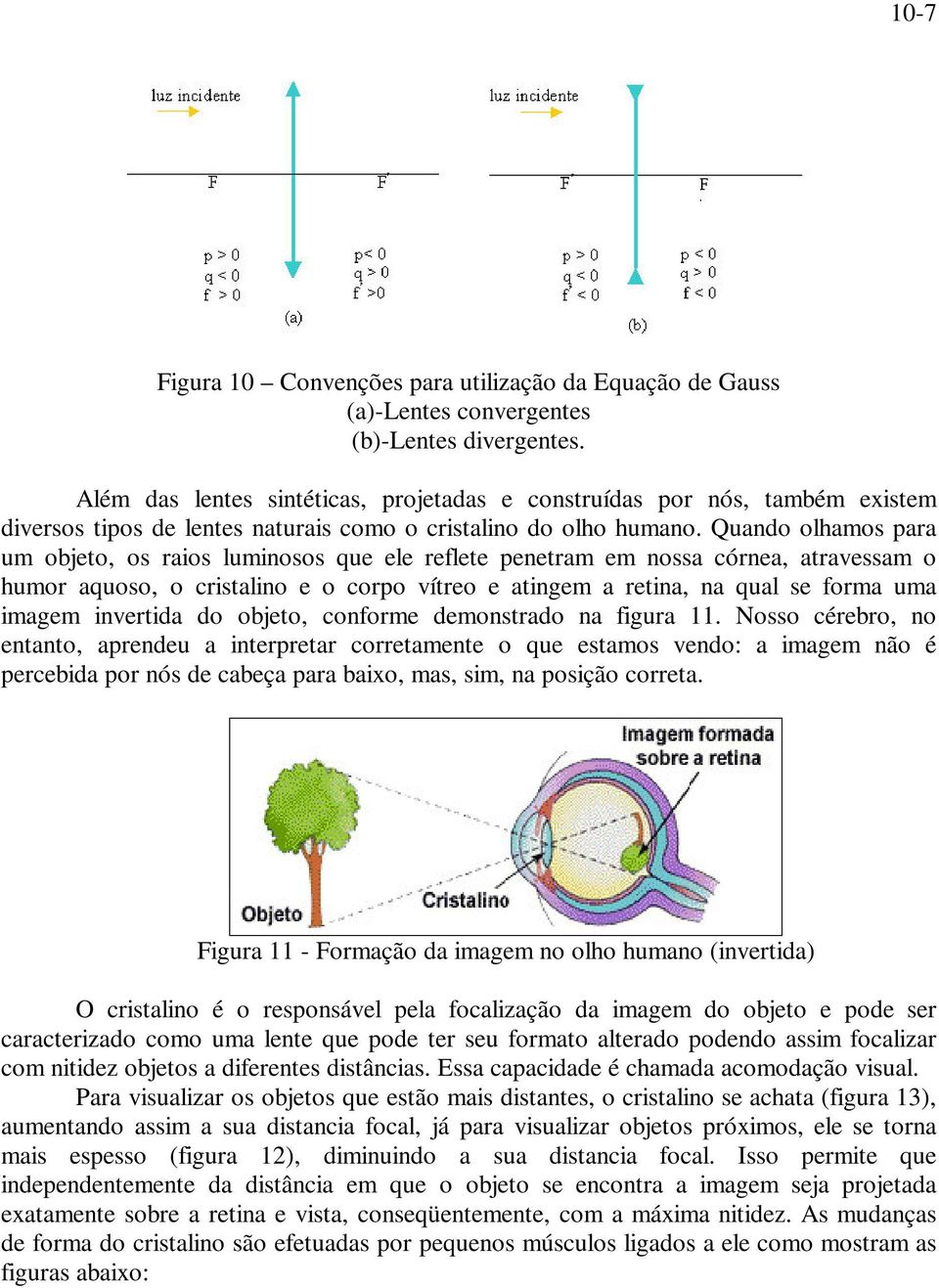 Quando olhamos para um objeto, os raios luminosos que ele reflete penetram em nossa córnea, atravessam o humor aquoso, o cristalino e o corpo vítreo e atingem a retina, na qual se forma uma imagem