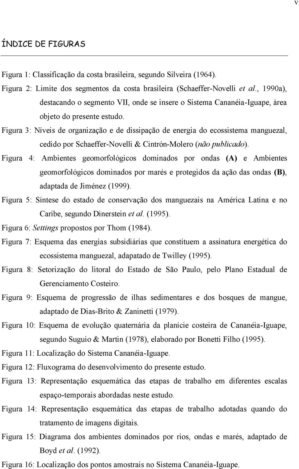 Figura 3: Níveis de organização e de dissipação de energia do ecossistema manguezal, cedido por Schaeffer-Novelli & Cintrón-Molero (não publicado).