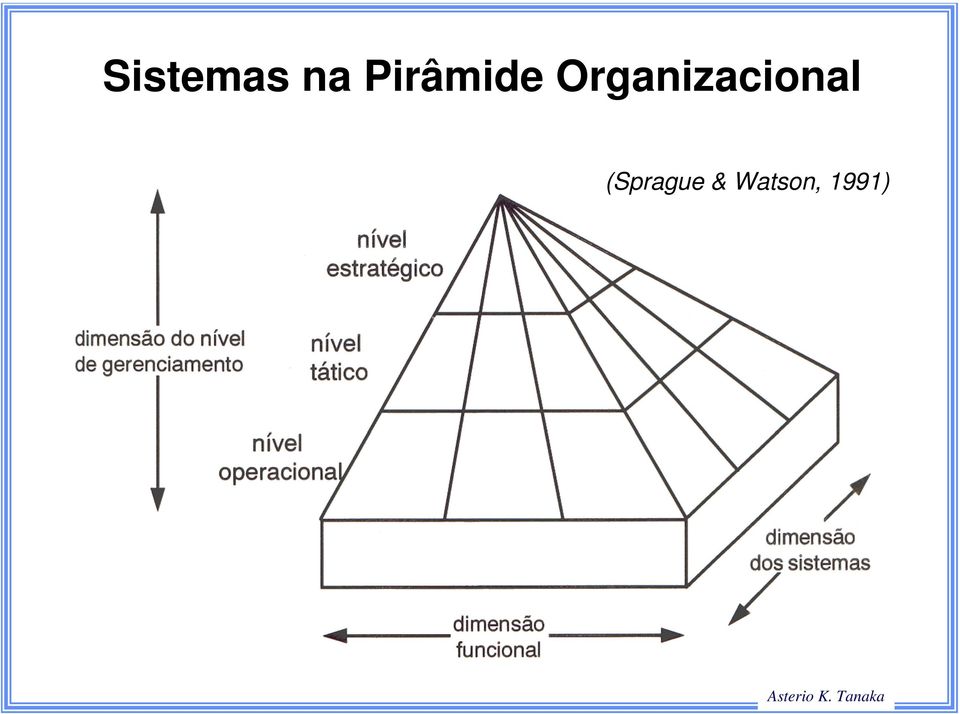 Organizacional