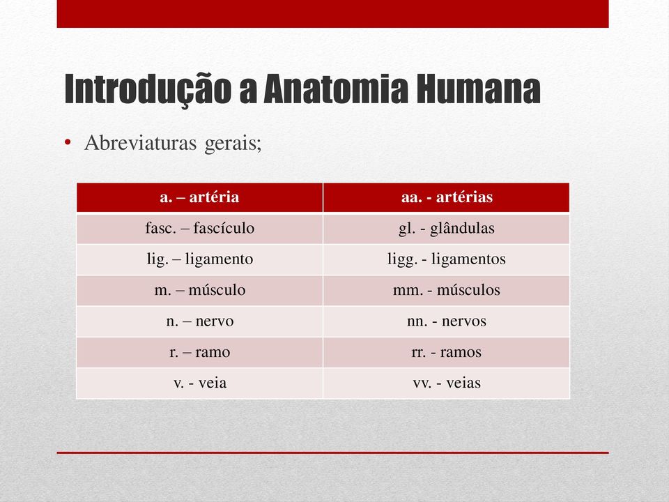 - glândulas ligg. - ligamentos m. músculo mm.