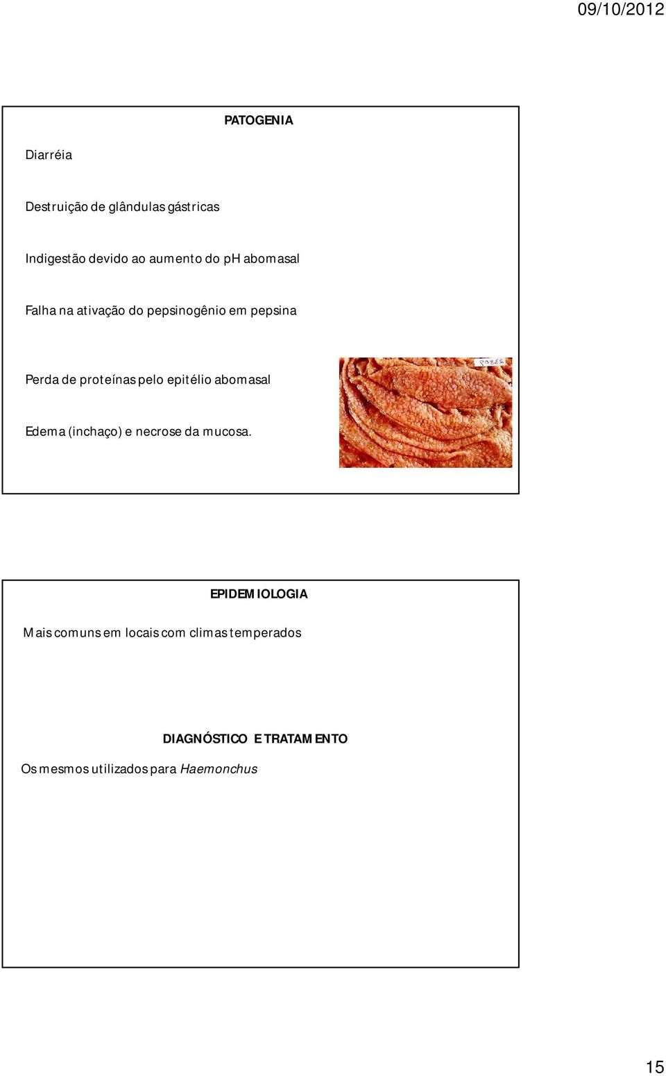 epitélio abomasal Edema (inchaço) e necrose da mucosa.