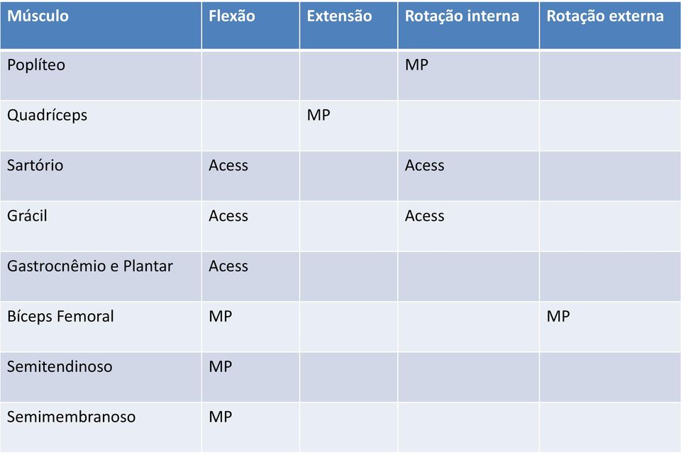 Acess Grácil Acess Acess Gastrocnêmio e Plantar