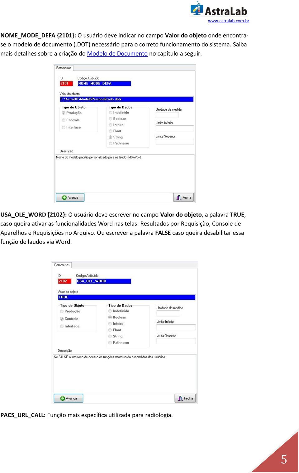 USA_OLE_WORD {2102}: O usuário deve escrever no campo Valor do objeto, a palavra TRUE, caso queira ativar as funcionalidades Word nas telas: Resultados