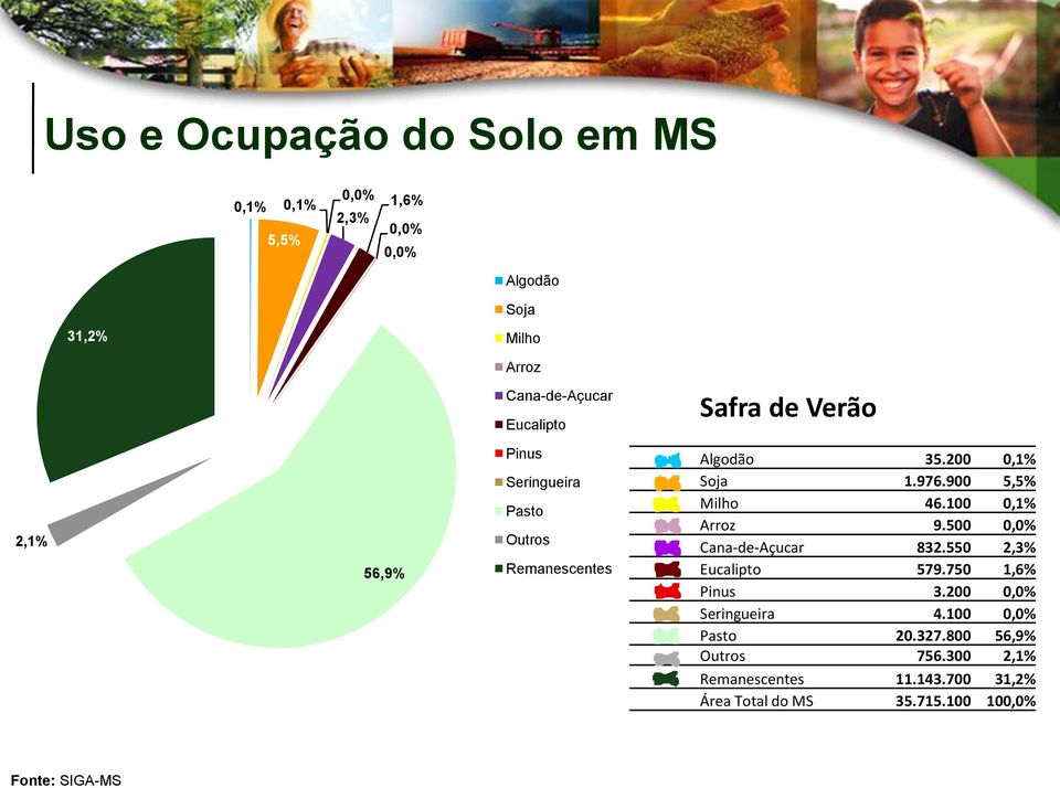 900 5,5% Milho 46.100 0,1% Arroz 9.500 0,0% Cana-de-Açucar 832.550 2,3% Eucalipto 579.750 1,6% Pinus 3.