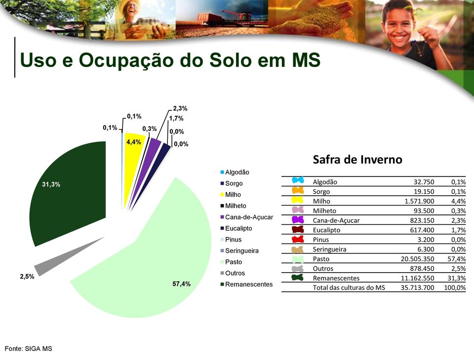 571.900 4,4% Milheto 93.500 0,3% Cana-de-Açucar 823.150 2,3% Eucalipto 617.400 1,7% Pinus 3.200 0,0% Seringueira 6.