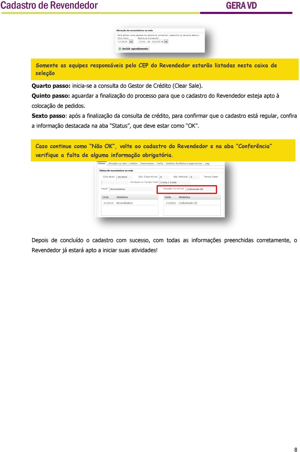 Sexto passo: após a finalização da consulta de crédito, para confirmar que o cadastro está regular, confira a informação destacada na aba Status, que deve estar como OK.