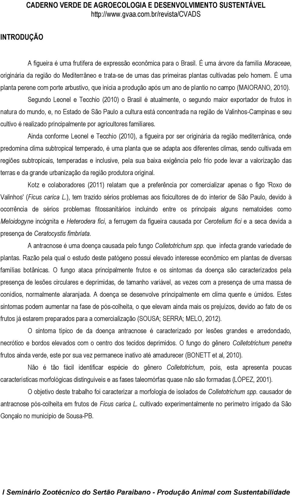 É uma planta perene com porte arbustivo, que inicia a produção após um ano de plantio no campo (MAIORANO, 2010).