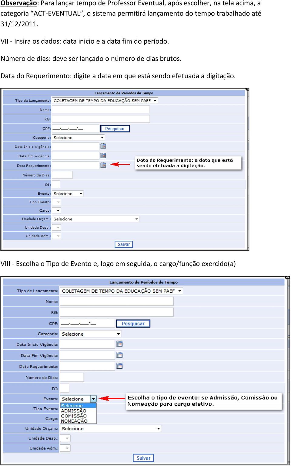 VII - Insira os dados: data inicio e a data fim do período.