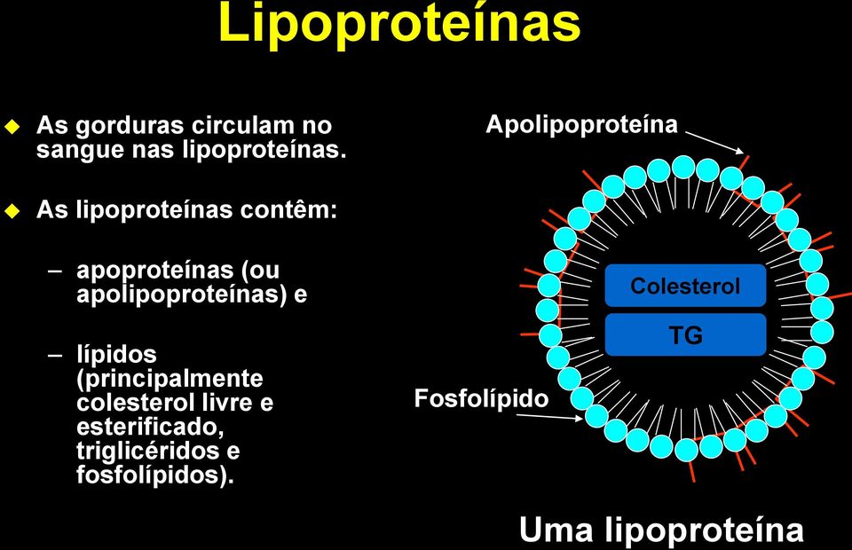 lípidos (principalmente colesterol livre e esterificado,