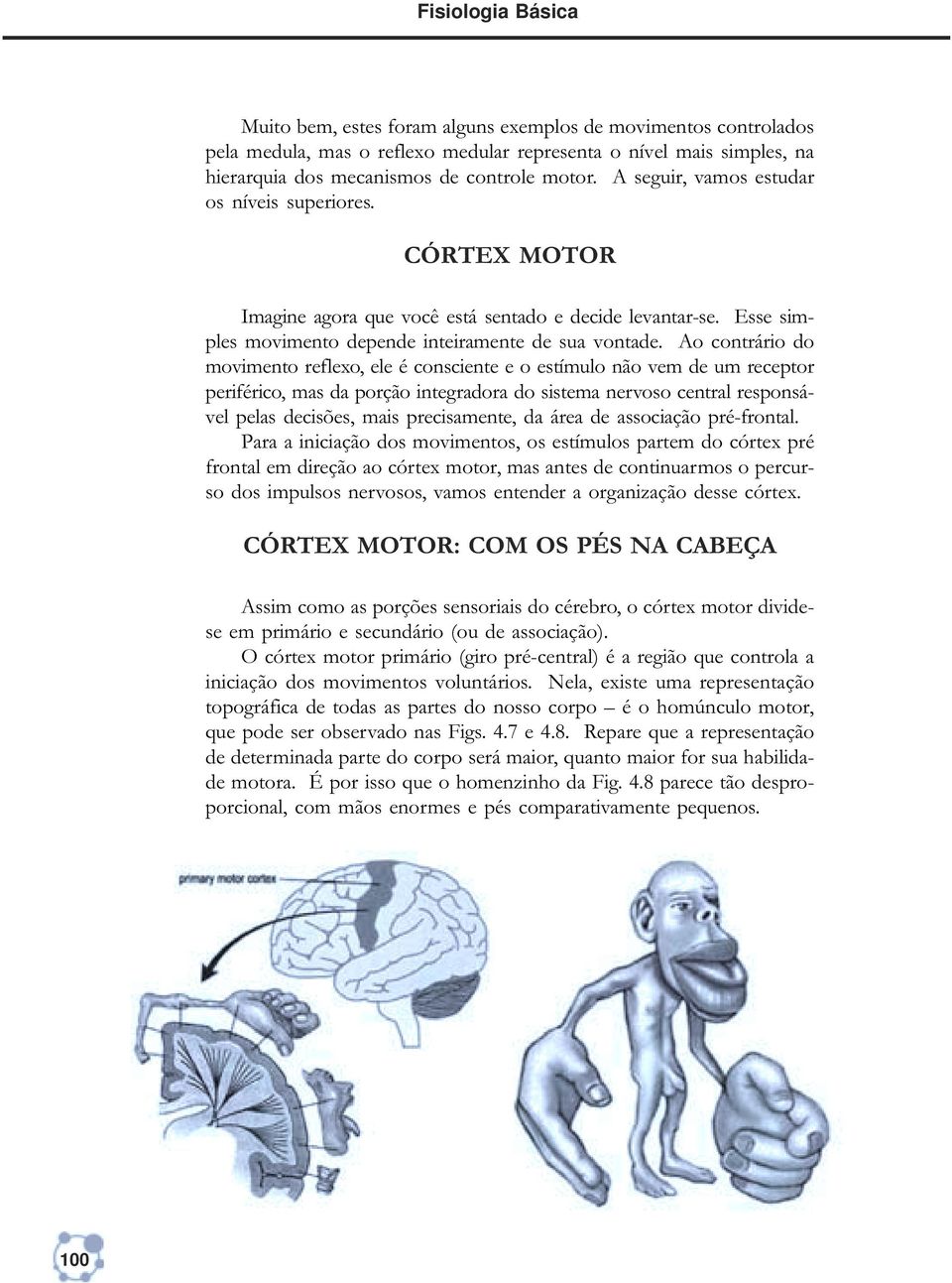 Ao contrário do movimento reflexo, ele é consciente e o estímulo não vem de um receptor periférico, mas da porção integradora do sistema nervoso central responsável pelas decisões, mais precisamente,