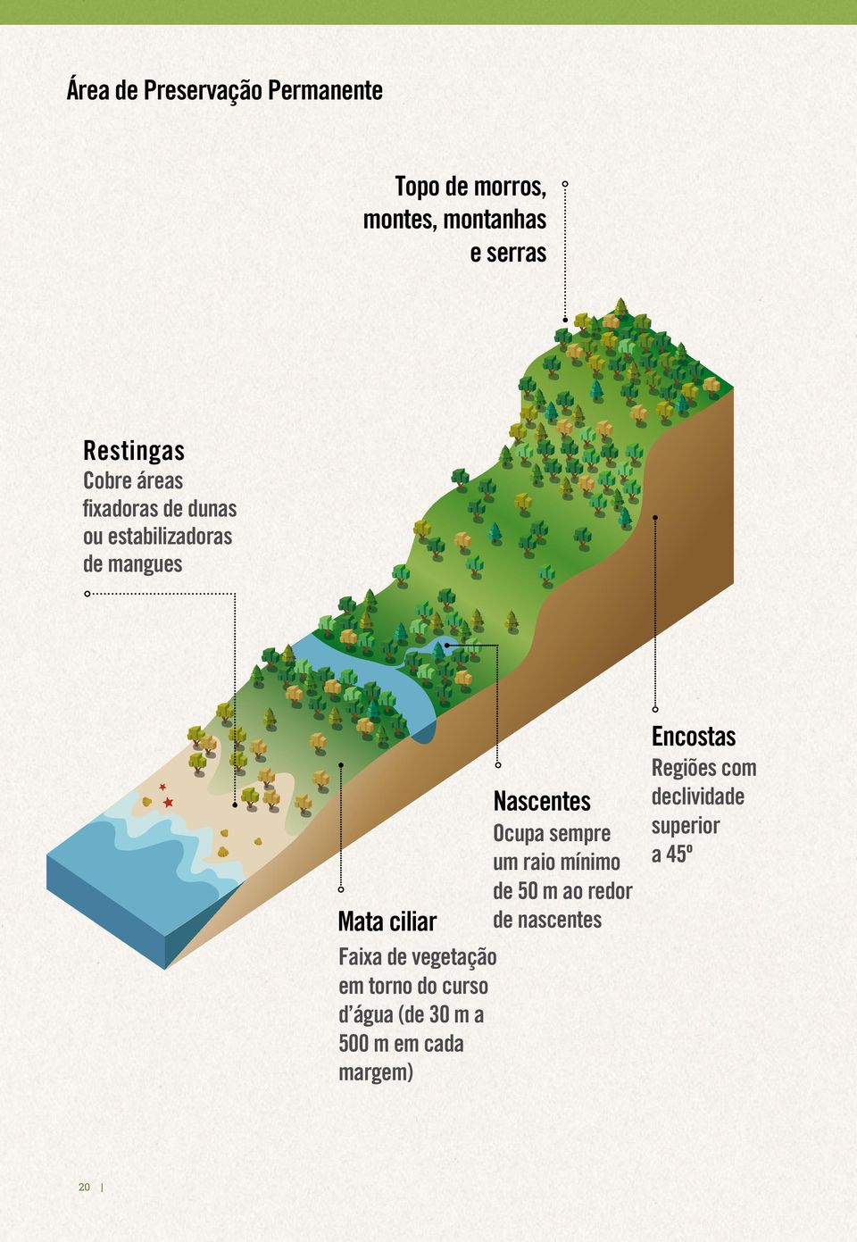 raio mínimo de 50 m ao redor Mata ciliar de nascentes Faixa de vegetação em torno do