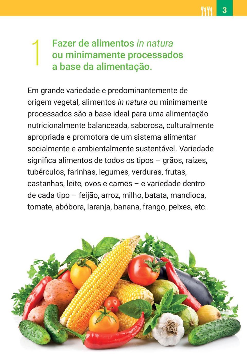 nutricionalmente balanceada, saborosa, culturalmente apropriada e promotora de um sistema alimentar socialmente e ambientalmente sustentável.