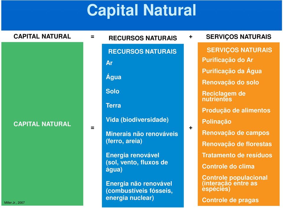 (sol, vento, fluxos de água) Energia não renovável (combustíveis fósseis, energia nuclear) SERVIÇOS NATURAIS SERVIÇOS NATURAIS Purificação do Ar