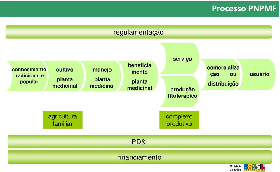 planta medicinal serviço produção fitoterápico comercializa ção ou