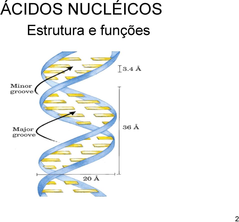 Estrutura