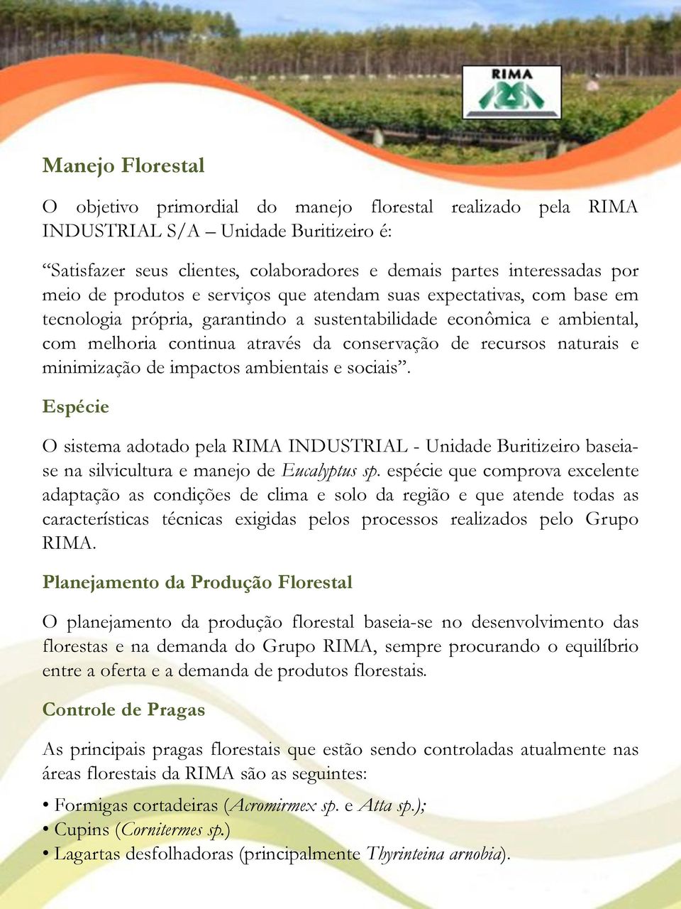 naturais e minimização de impactos ambientais e sociais. Espécie O sistema adotado pela RIMA INDUSTRIAL - Unidade Buritizeiro baseiase na silvicultura e manejo de Eucalyptus sp.