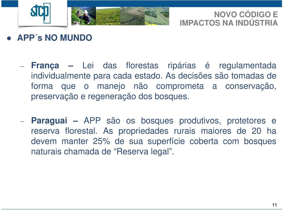 dos bosques. Paraguai APP são os bosques produtivos, protetores e reserva florestal.