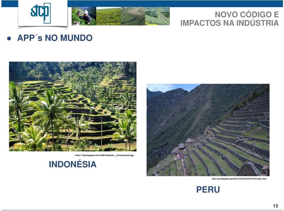 com/s1600/indonesia_-_terraceamento.