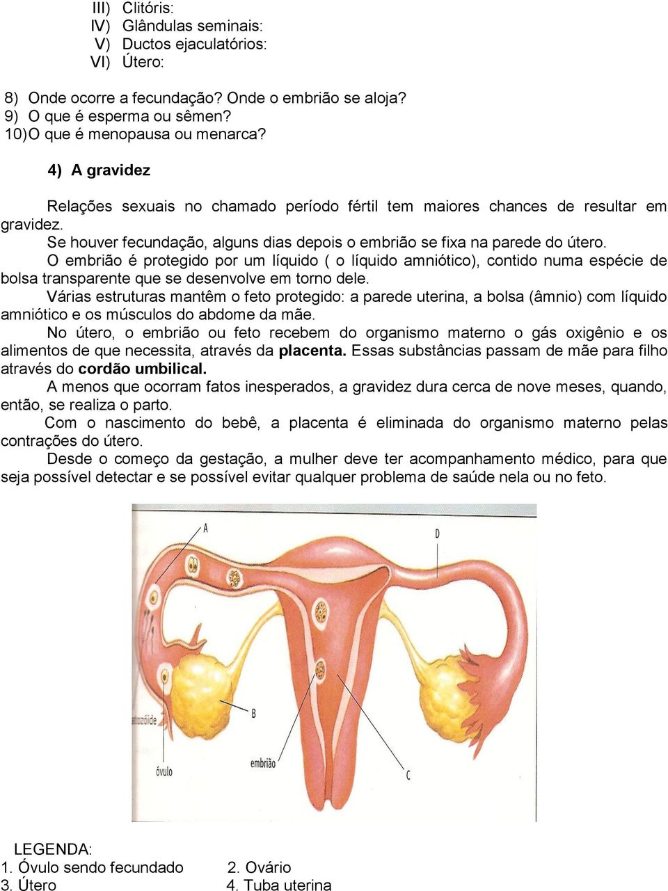 O embrião é protegido por um líquido ( o líquido amniótico), contido numa espécie de bolsa transparente que se desenvolve em torno dele.