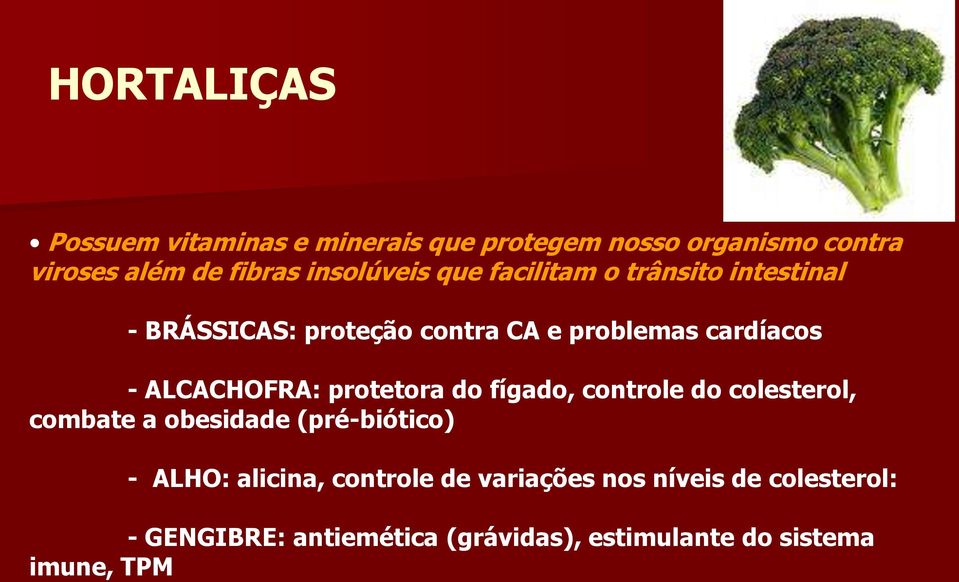 ALCACHOFRA: protetora do fígado, controle do colesterol, combate a obesidade (pré-biótico) - ALHO: