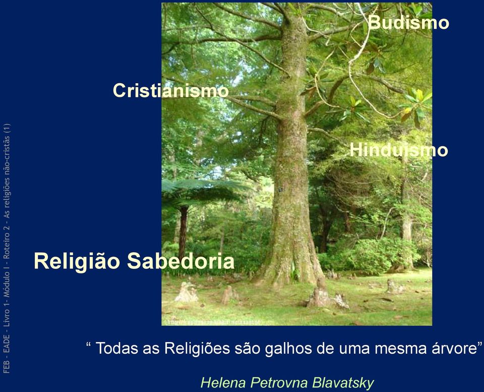 Religiões são galhos de uma