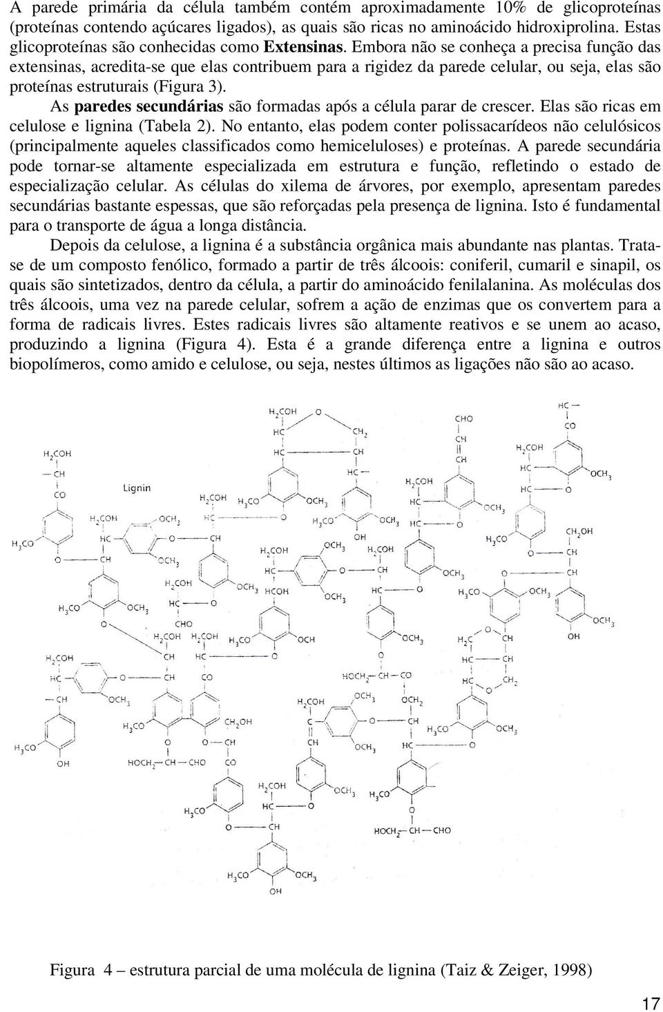 Embora não se conheça a precisa função das extensinas, acredita-se que elas contribuem para a rigidez da parede celular, ou seja, elas são proteínas estruturais (Figura 3).