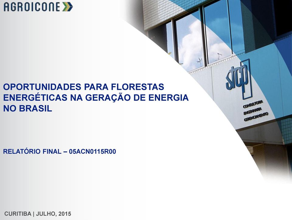 ENERGIA NO BRASIL RELATÓRIO