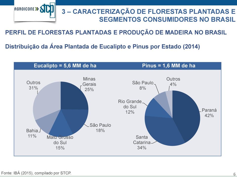 5,6 MM de ha Pinus = 1,6 MM de ha Outros 31% Minas Gerais 25% São Paulo 8% Outros 4% Rio Grande do Sul 12%