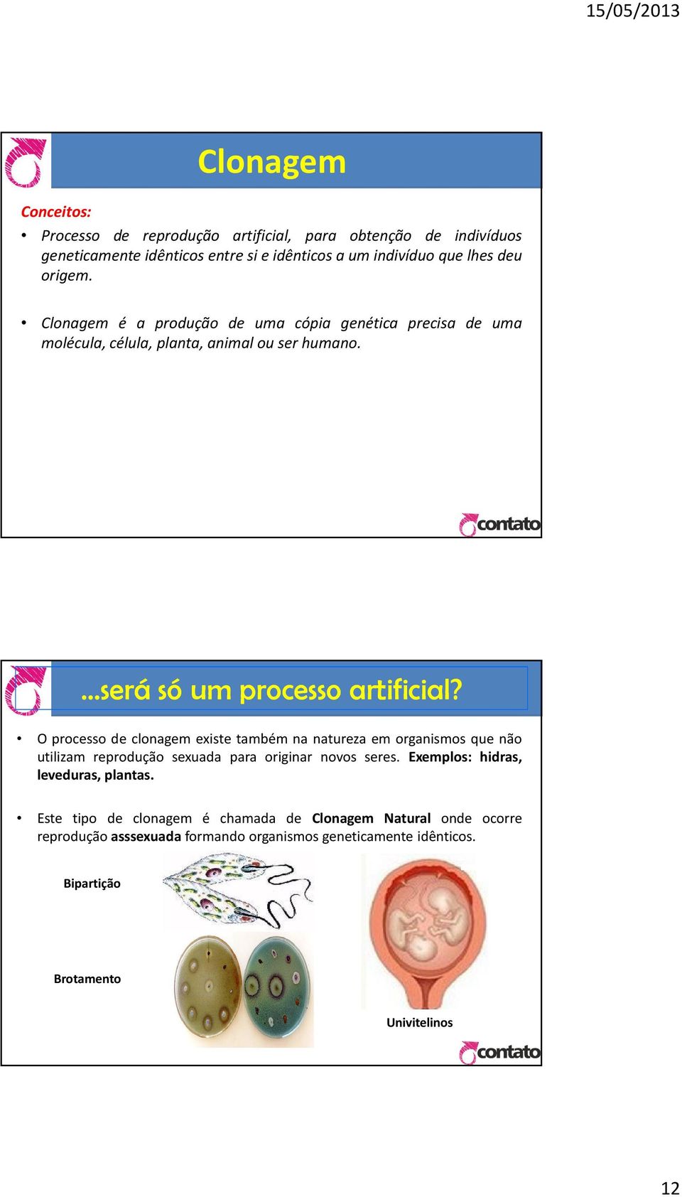 O processo de clonagem existe também na natureza em organismos que não utilizam reprodução sexuada para originar novos seres.