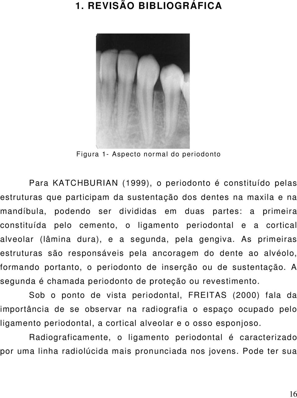 As primeiras estruturas são responsáveis pela ancoragem do dente ao alvéolo, formando portanto, o periodonto de inserção ou de sustentação. A segunda é chamada periodonto de proteção ou revestimento.