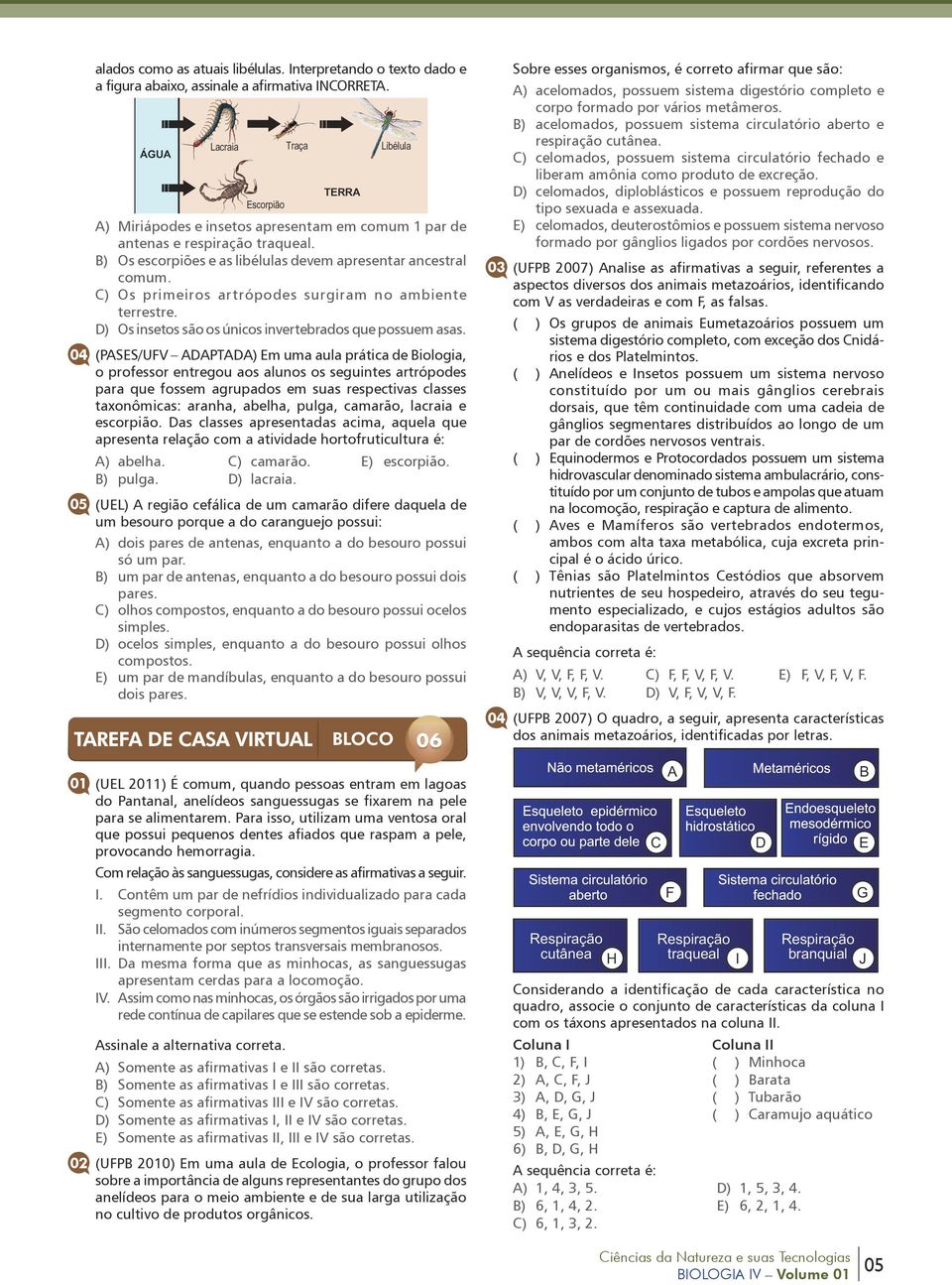 04 (PASES/UFV ADAPTADA) Em uma aula prática de Biologia, o professor entregou aos alunos os seguintes artrópodes para que fossem agrupados em suas respectivas classes taxonômicas: aranha, abelha,