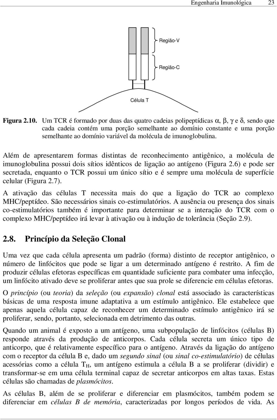 molécula de imunoglobulina. Além de apresentarem formas distintas de reconhecimento antigênico, a molécula de imunoglobulina possui dois sítios idênticos de ligação ao antígeno (Figura 2.