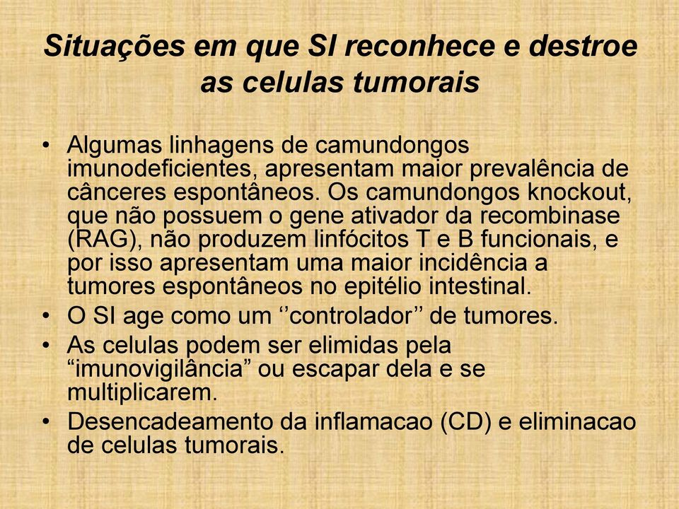 Os camundongos knockout, que não possuem o gene ativador da recombinase (RAG), não produzem linfócitos T e B funcionais, e por isso apresentam