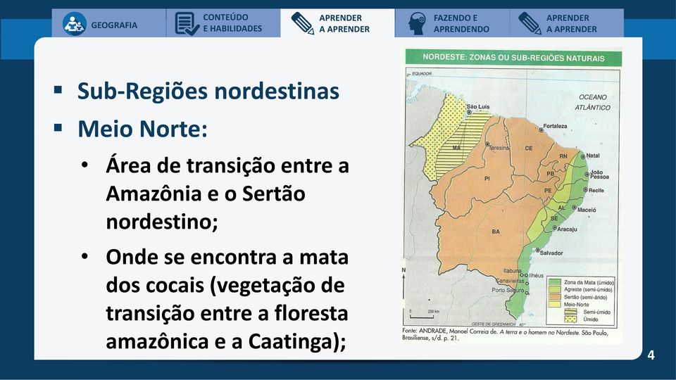 nordestino; Onde se encontra a mata dos cocais