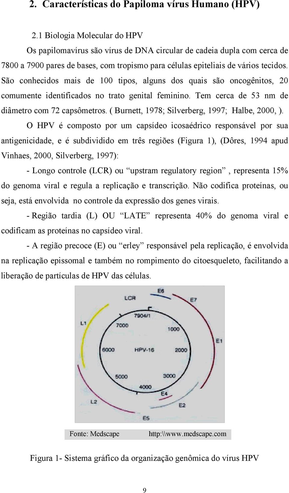 São conhecidos mais de 100 tipos, alguns dos quais são oncogênitos, 20 comumente identificados no trato genital feminino. Tem cerca de 53 nm de diâmetro com 72 capsômetros.