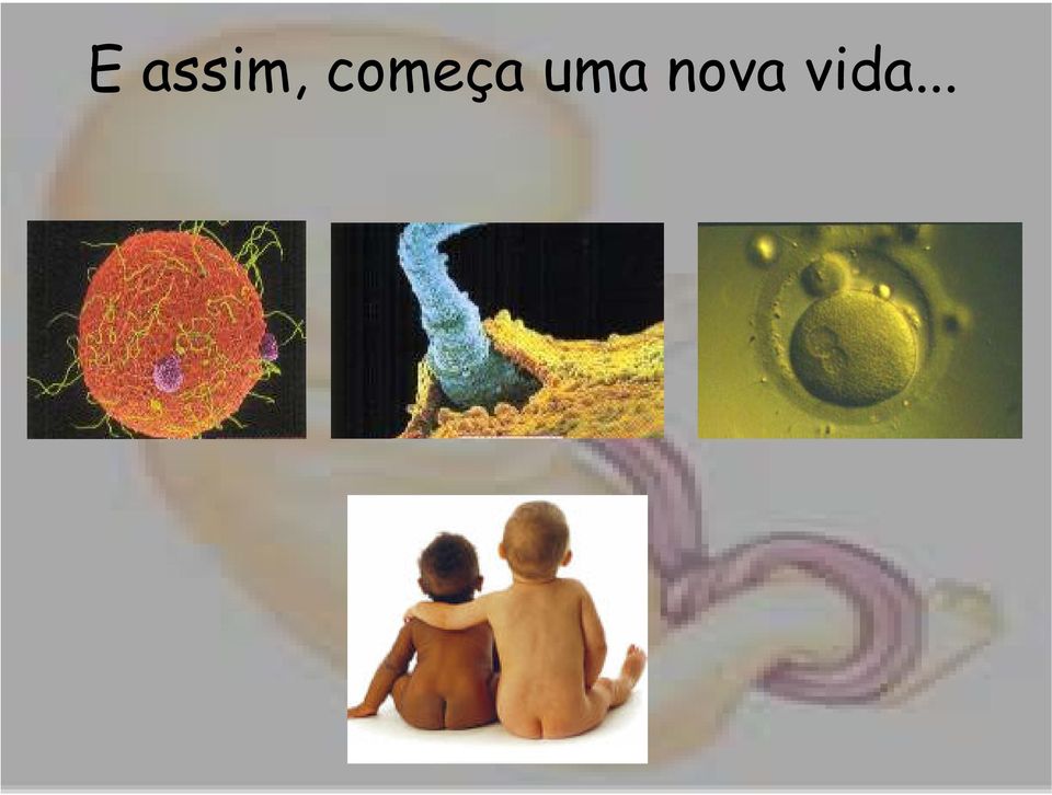 uma nova