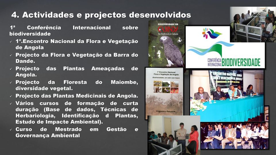 Projecto das Plantas Ameaçadas de Angola. Projecto da Floresta do Maiombe, diversidade vegetal.
