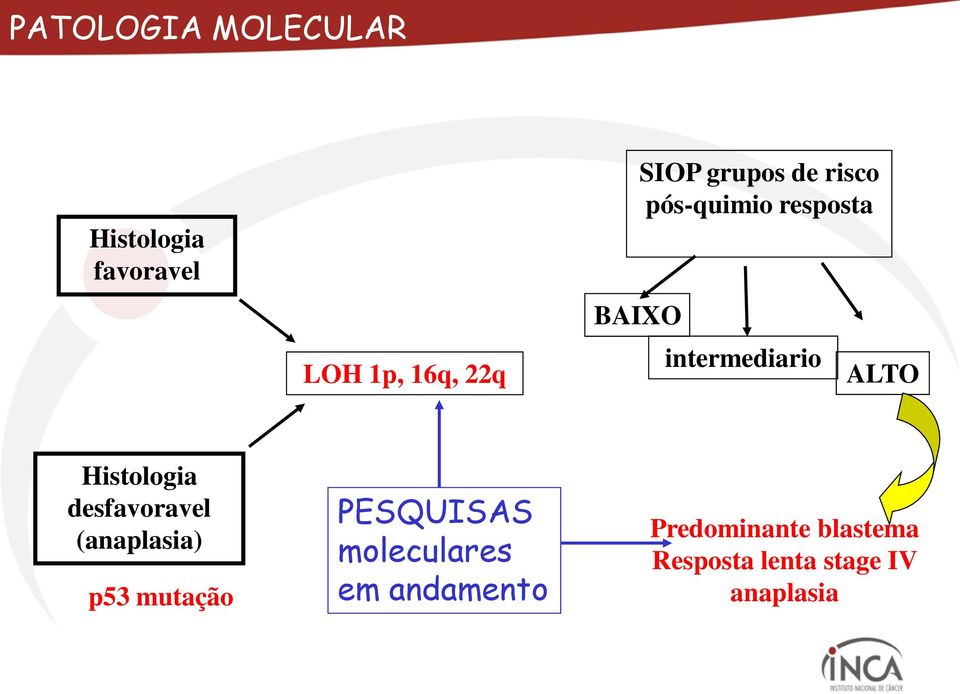 Histologia desfavoravel (anaplasia) p53 mutação PESQUISAS