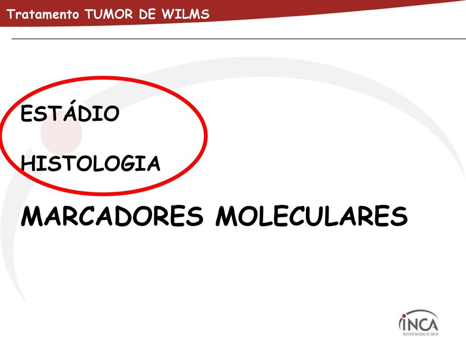 HISTOLOGIA