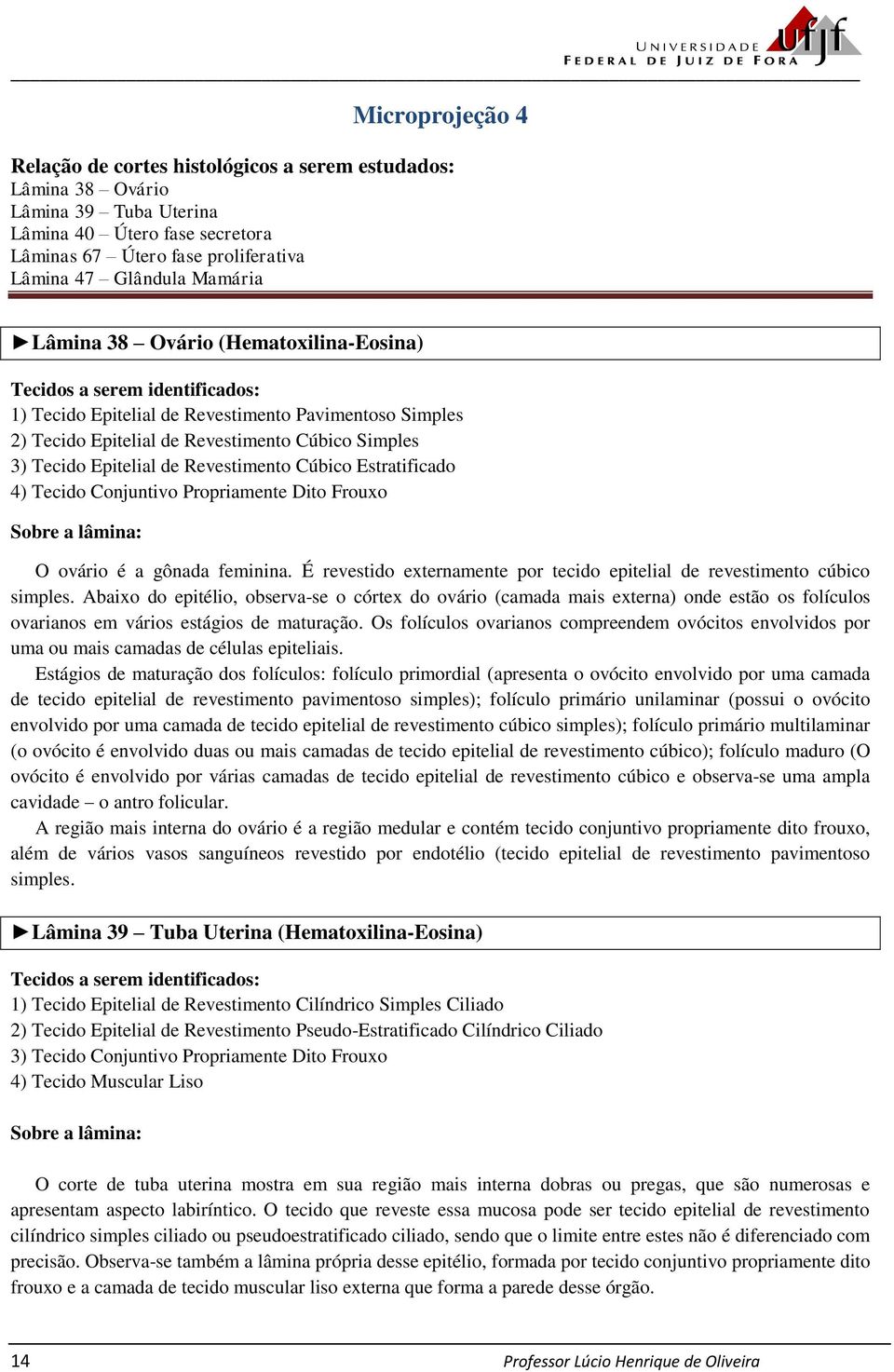 Estratificado 4) Tecido Conjuntivo Propriamente Dito Frouxo O ovário é a gônada feminina. É revestido externamente por tecido epitelial de revestimento cúbico simples.