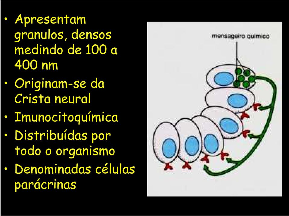 neural Imunocitoquímica Distribuídas por