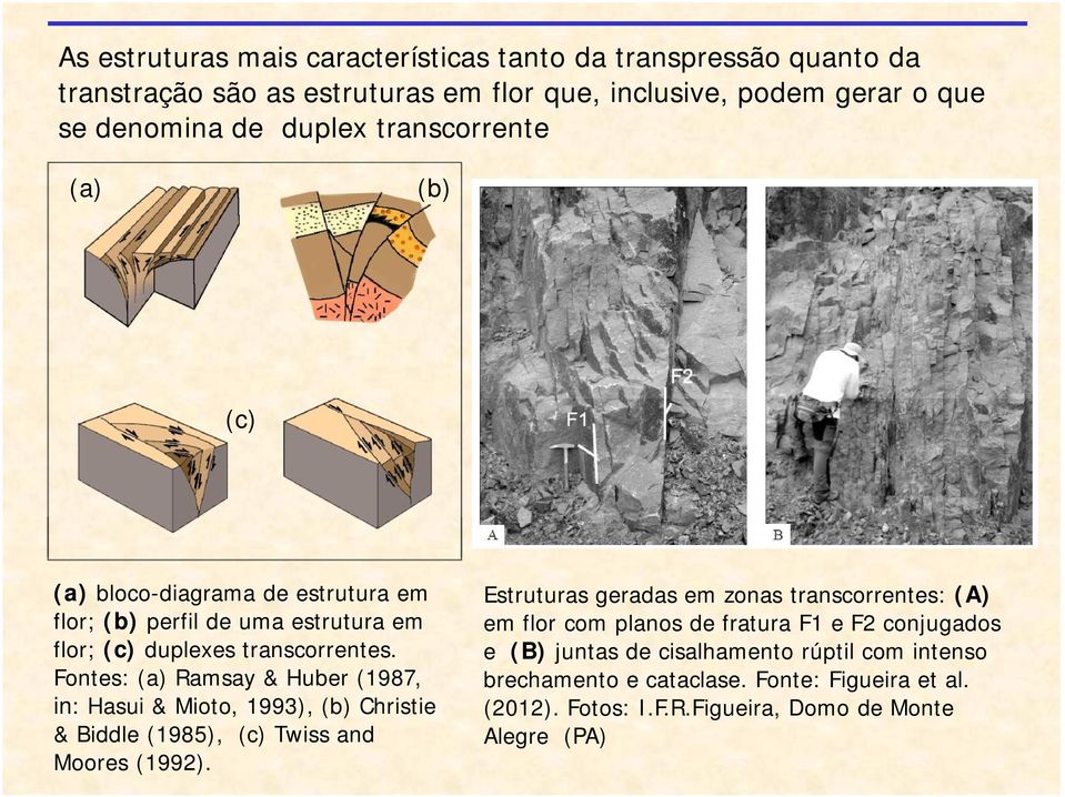 Fontes: (a) Ramsay & Huber (1987, in: Hasui & Mioto, 1993), (b) Christie & Biddle (1985), (c) Twiss and Moores (1992).