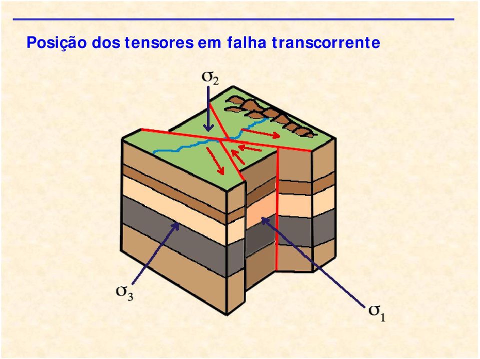 tensores