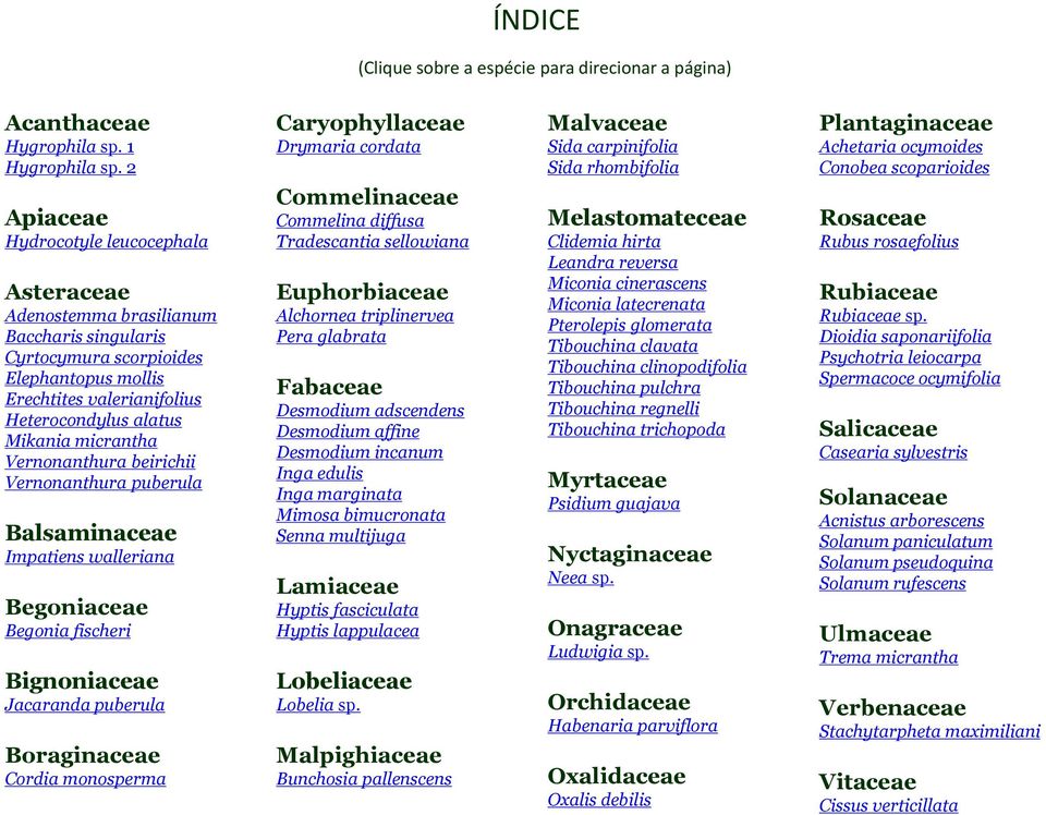 micrantha Vernonanthura beirichii Vernonanthura puberula Balsaminaceae Impatiens walleriana Begoniaceae Begonia fischeri Bignoniaceae Jacaranda puberula Boraginaceae Cordia monosperma Caryophyllaceae